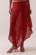 Aaila Lace Skirt
