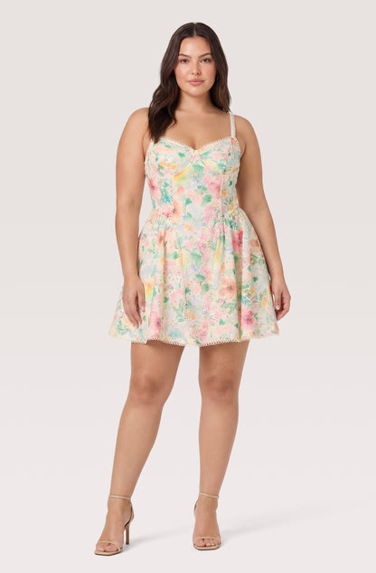 Birdie Floral Eyelet Sweetheart Mini Dress