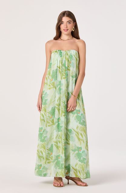 Aileen Strapless Maxi Dress
