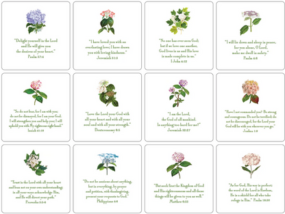 Hydrangea Verses With Easel