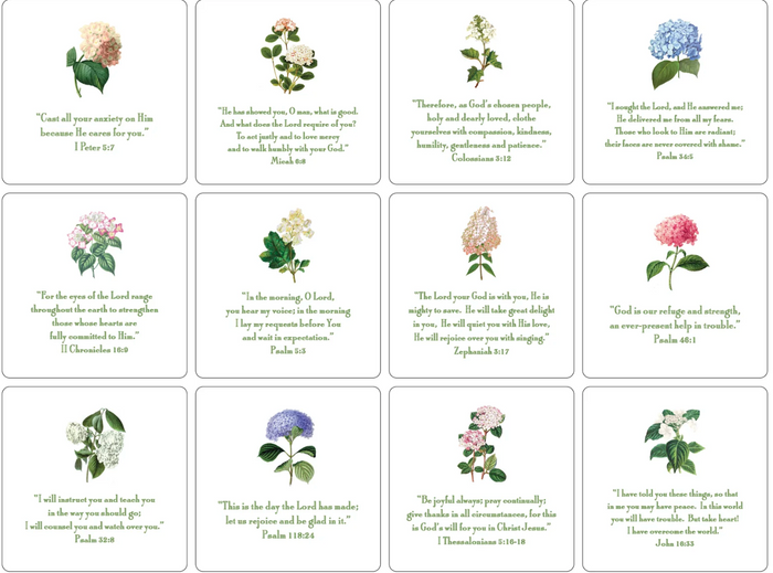 Hydrangea Verses With Easel