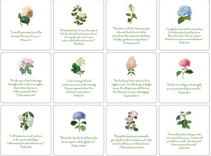 Hydrangea Verses With Easel